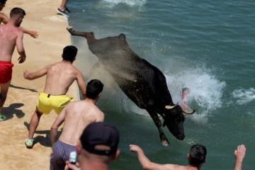 Au cours d'un lâcher de taureaux dans le port de Denia, près d'Alicante, en Espagne le 14 juillet 2022