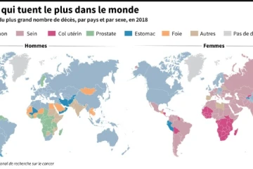 Les cancers qui tuent le plus dans le monde