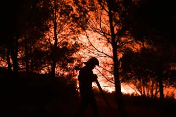 Des pompiers luttent contre un incendie, à Carnoux-en-Provence, près d'Aubagne, le 19 août 2017