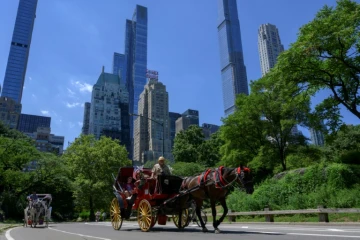 Une calèche dans Central Park, le 3 août 2022 à New York