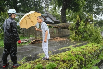 Un homme discute avec un agent de sécurité près d'un arbre couché par le typhon Shanshan, le 29 août 2024 à Usa, dans le département d'Oita, au Japon