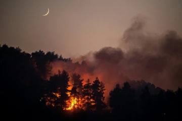 Un feu de forêt sur l'île d'Eubée, le 10 août 2021 en Grèce