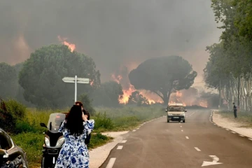 Une femme prend en photo l'incendie qui frappe plusieurs communes des Pyrénées-Orientales, dont Argelès-su-Mer, le 14 août 2024