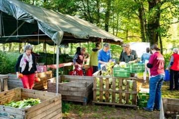 Des consommateurs locaux, des propriétaires et des dirigeants de la première ferme collective des Pays-Bas viennent récupérer leur part de la récolte, le 13 octobre 2018 à Boxtel, dans le sud des Pays-Bas