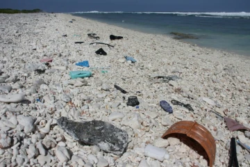 Des chercheurs américains et britanniques ont conçu par hasard une enzyme capable de détruire du plastique, ce qui pourrait contribuer à résoudre le problème mondial lié à ce type de pollution