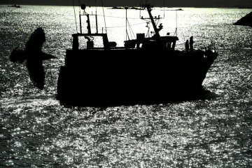 Les pêcheurs français, réunis pour leurs assises annuelles à Lorient, s'inquiètent de l'avenir de leur secteur chahuté par le Brexit, de restrictions d'activité et des "injonctions contradictoires" sur la décarbonation