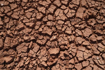 Sécheresse à Dohuk, dans le nord de l'Irak, en novembre 2021