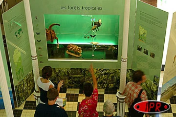 Exposition sur la biodiversité au muséum d'histoire naturelle du jardin de l'État à Saint-Denis