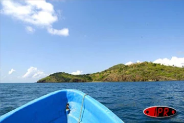 Depuis six ans, l'îlot Mbouzi au large de Mayotte est devenu un dispensaire qui  accueille, réconforte et soigne des makis, ces petits lémuriens au regard émouvant d'humanité