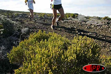 Vendredi 22 octobre 2004

Les concurrents du grand raid traverse Fok Fok sur la route du volcan