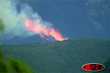 Vendredi 18 février 2005

Deuxième jour d'éruption pour le piton de la fournaise