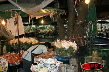 Novembre 2006 -

Pakklongtalad, le marché aux fleurs de Bangkok