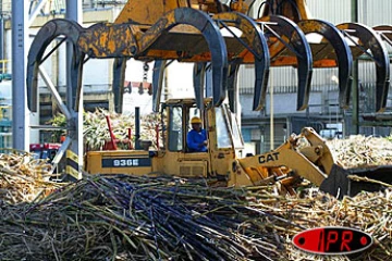 Les sucreries du Gol et de Bois Rouge ont recommencé à broyer les cannes à sucre depuis ce mardi 21 octobre 2003 À 14 heures