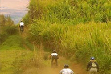 À La Réunion, les amateurs de vélo tout-terrain disposent d'un terrain de jeu exceptionnel. Avec son relief accidenté, l'Île propose une bonne dizaine de parcours différents