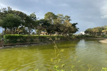 parc boisé au port