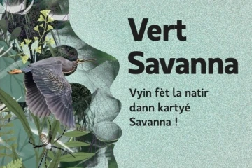 Affiche Vert Savanna