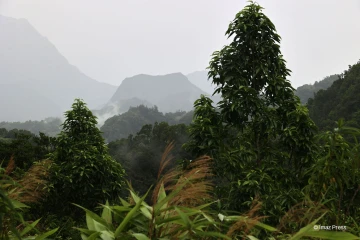 Salazie sous la pluie