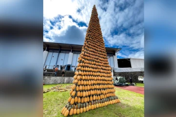 Tour d'ananas au Tampon, Record du monde de la plus haute pyramide de fruits