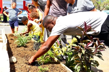 Aménagement d'une jardinière commune à Saint-Denis