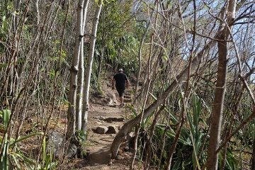 Sentier