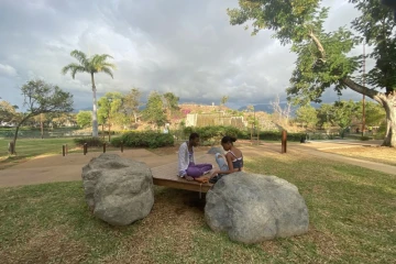 parc boisé au port