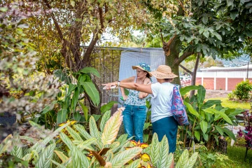 Concours jardin et balcons fleuris