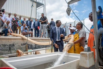 Visite de Hervé Berville au Port