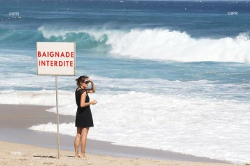panneaux requins baignade interdite