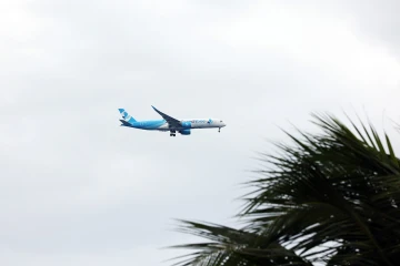 Avion FrenchBee