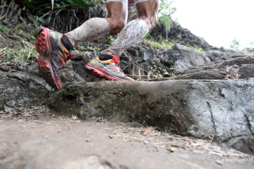 Trail