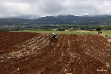 agriculture