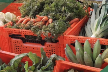 Légumes - fruits - Département - Marché bio péi