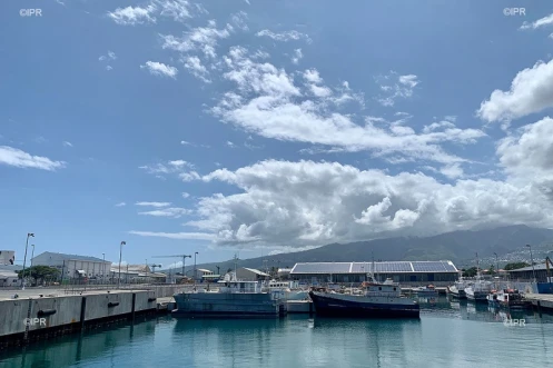 Darse du port ouest