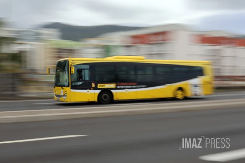 réseau car jaune