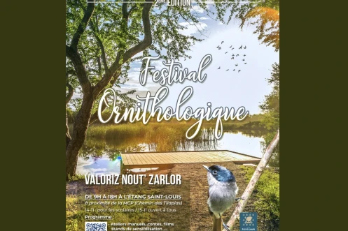 Festival ornithologique de Saint-Louis