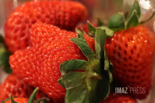 fraises 