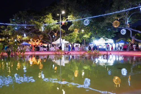 Saint-Denis a brillé pour le marché de nuit 