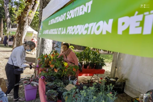 Le Département organise un marché Péi au Jardin de l'Etat