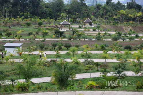 parc des palmiers du monde au Tampon