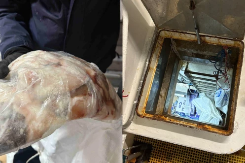 Pêche illicite de légine : six personnes interpellées après la découverte de 2,2 tonnes de poissons non déclarés, 10 kilos supplémentaires retrouvés lors d'une perquisition