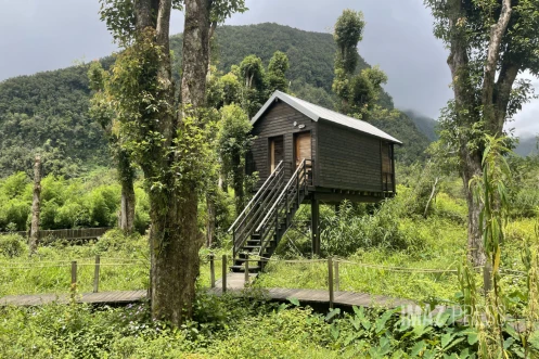 Développer sans détruire : le défi du tourisme durable à La Réunion