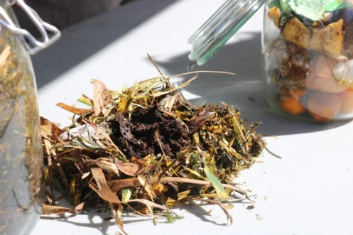 La Civis : retour en image sur l'opération Quinzaine du compostage