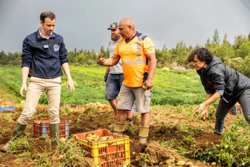 La Plaine en fête : le maire va à la rencontre des producteurs et des professionnels