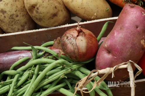 Légumes divers 