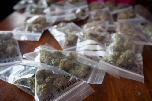 Le cannabis est la drogue la plus consommée en France. | AFP PHOTO / DESIREE MARTIN