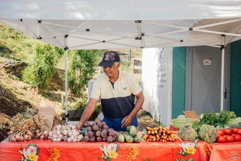 Festival alimenterre