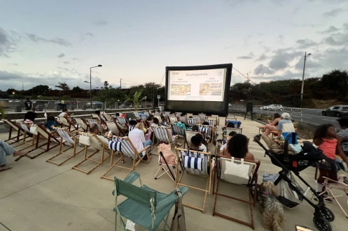 TO : un cinéma plein air à la Darse du Port