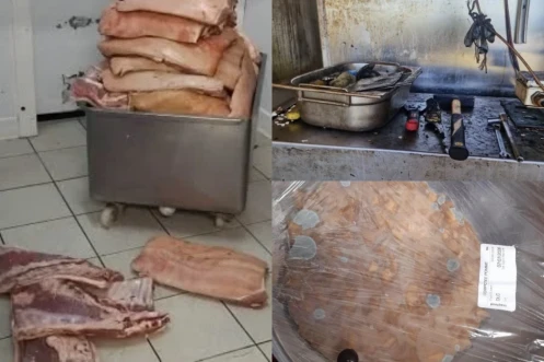 Viande au sol, cafards, excréments d'oiseaux : deux commerces du sud fermés pour "risques graves" pour les consommateurs