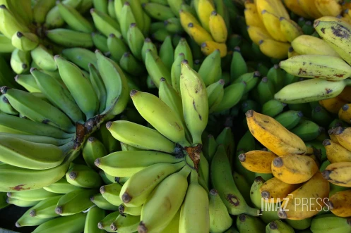bananes