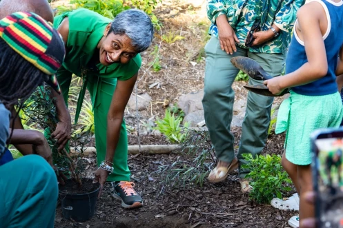 Cinor : inauguration de l'îlot Flamboyant au Chaudron